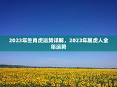 2023年生肖虎运势详解，2023年属虎人全年运势