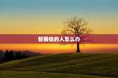 智商低的人怎么办