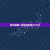 属马是哪一年出生的多大1978(马年出生的人现在多少岁)