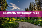 属兔2018多大，1998年出生到2018年是多大