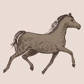 属马的几月出生命最苦女(命运多舛如何破解)