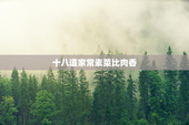 十八道家常素菜比肉香