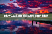 农村什么生意赚钱 投资这些项目有前景利润大