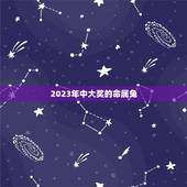 2023年中大奖的命属兔(兔年大奖得主前瞻)