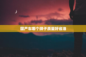 国产车哪个牌子质量好省油