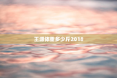 王源体重多少斤2018