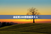远征军200师回国多少人