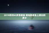 2019农村65岁养老金 明年养老金上调比例多少