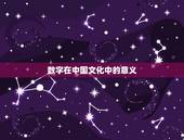 今日的吉利数字是什么(介绍)