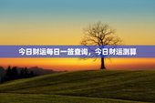 今日财运每日一签查询，今日财运测算