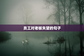 员工对老板失望的句子