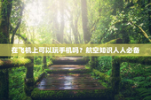 在飞机上可以玩手机吗？航空知识人人必备