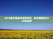 2023金牛座全年运势虎女，金牛座属虎2020年运势