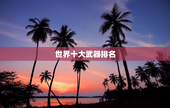 世界十大武器排名