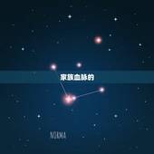 兄弟持世最喜子孙发动(传承家族血脉共筑美好未来)