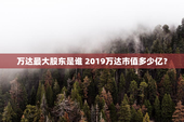 万达最大股东是谁 2019万达市值多少亿？