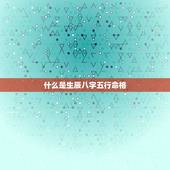 生辰八字五行命格查询(如何解读你的命运)