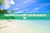 王健林预言2020年房价 明年房价是涨还是跌？