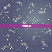 哪些星座男不会娶丑女(介绍他们更看重外表还是内在)