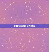 93年属鸡人运势如何(2023年财运旺盛但需注意健康问题)