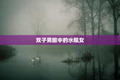 双子男眼中的水瓶女