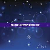 2000年5月出生的龙是什么命(介绍五行缺什么)