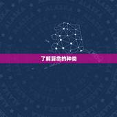 哪里看相算命准的地方(如何找到靠谱的算命师)