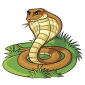 1990年属蛇还是属马(解密你的生肖是什么)