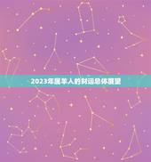 属羊人今年的财运怎样(2023年财运展望)