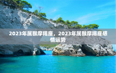 2023年属猴摩羯座，2023年属猴摩羯座感情运势