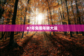 87年兔哪年转大运