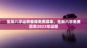 生辰八字运势查询免费算命，生辰八字免费算命2023年运程