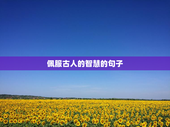 佩服古人的智慧的句子