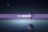 1987属兔的坎