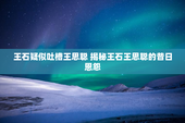 王石疑似吐槽王思聪 揭秘王石王思聪的昔日恩怨