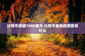 比特币跌破7000美元 比特币暴跌的原因是什么