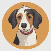 属狗的三合和六个合生肖是什么，生肖属狗性格分析