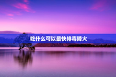 吃什么可以最快排毒降火