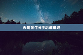 天蝎金牛分手后谁难过