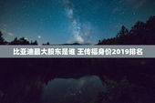 比亚迪最大股东是谁 王传福身价2019排名