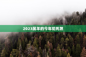 2023属羊的今年犯死煞，2023属羊的今年犯死煞 小猫星座网