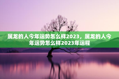 属龙的人今年运势怎么样2023，属龙的人今年运势怎么样2023年运程