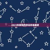 2023年属狗的财运(展望机遇与挑战并存)