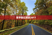 歌手陈红现状2017