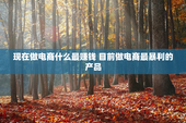 现在做电商什么最赚钱 目前做电商最暴利的产品