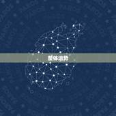 属马人23年每月运势(2023年12星座运势大介绍)