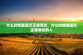 什么时候能遇见正缘测试，什么时候能遇见正缘测试的人