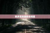 我多喜欢你你会知道