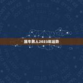 属牛男人2023年运势(稳中有进财运亨通)