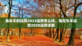 兔年牛的运势2023运势怎么样，兔在牛年运势2020运势详解